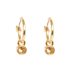 Oorbel - Crystal Hoops Mini - Topaz