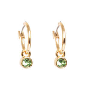Oorbel - Crystal Hoops Mini - Eriniet